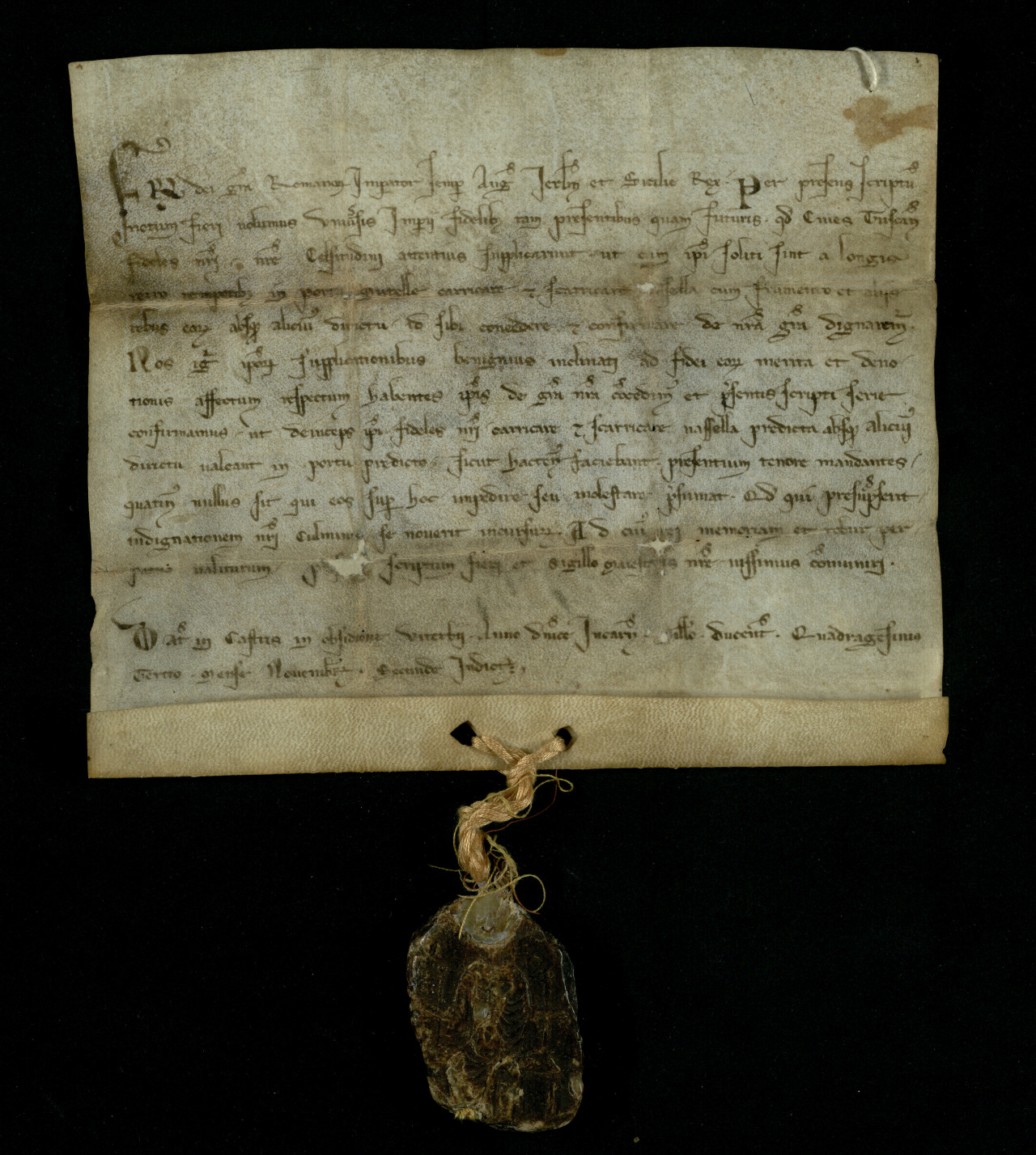 Diploma di Federico II di Svevia - Anno 1243 -Pergamena 39r